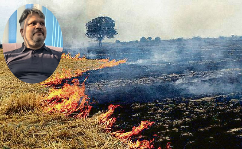 Paddy Management: A Massive Problem